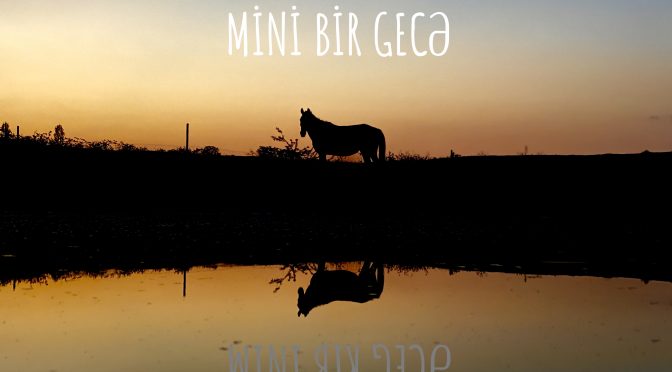 Mini bir gecə – Sərdar Aminin yeni hekayəsi